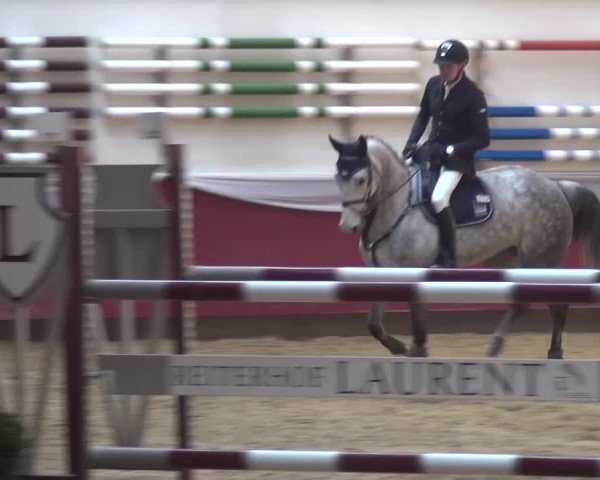 Springturnier Eicherloh - Laurent 2016