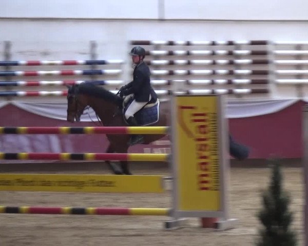 Springturnier Eicherloh - Laurent 2016