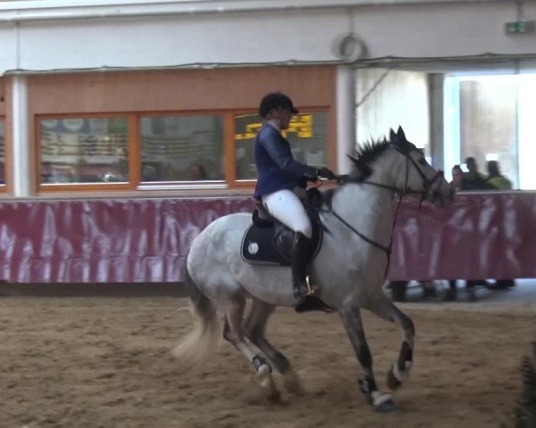Springturnier Eicherloh - Laurent 2016