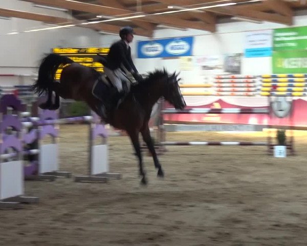 Springturnier Eicherloh - Laurent 2016