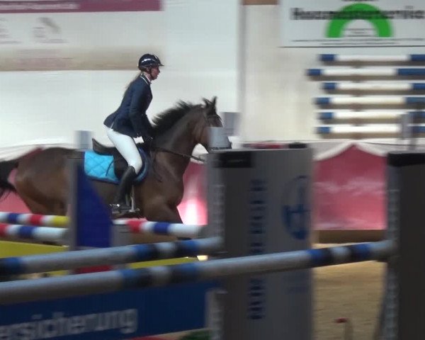 Springturnier Eicherloh - Laurent 2016