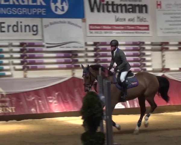Springturnier Eicherloh - Laurent 2016