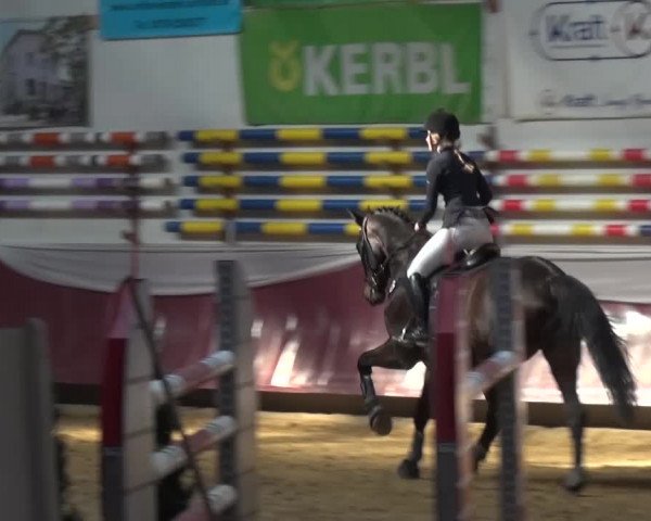 Springturnier Eicherloh - Laurent 2016