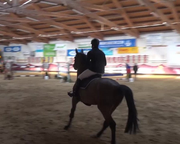 Springturnier Eicherloh - Laurent 2016