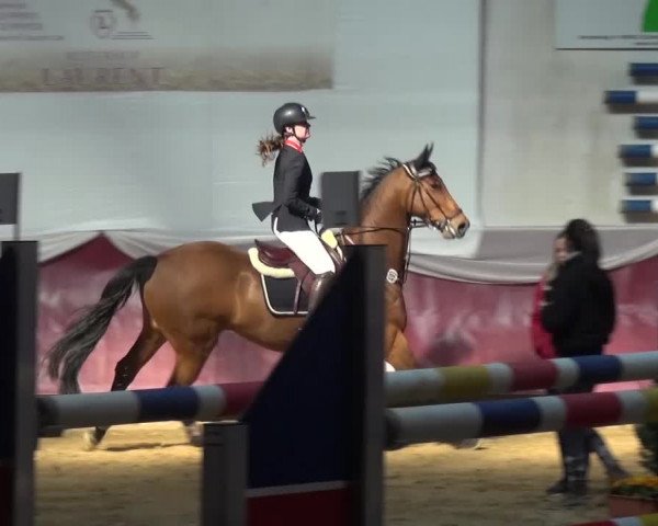 Springturnier Eicherloh - Laurent 2016