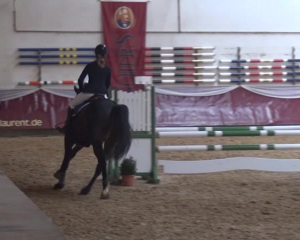 Springturnier Eicherloh - Laurent 2016