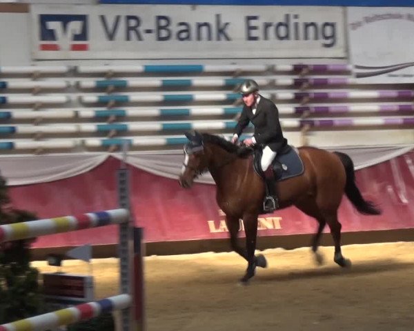 Springturnier Eicherloh - Laurent 2016