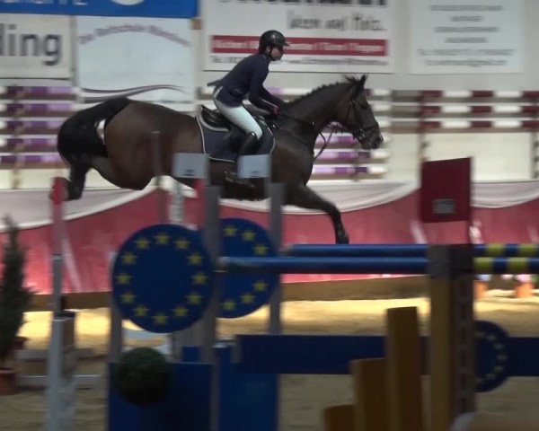 Springturnier Eicherloh - Laurent 2016