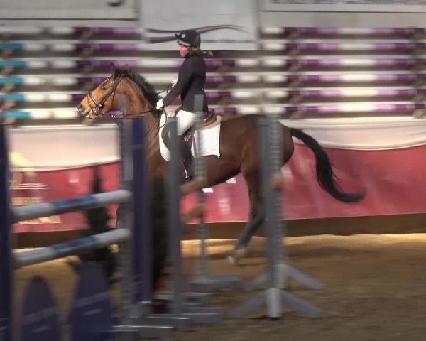 Springturnier Eicherloh - Laurent 2016