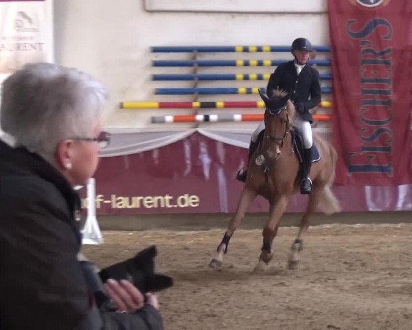 Springturnier Eicherloh - Laurent 2016