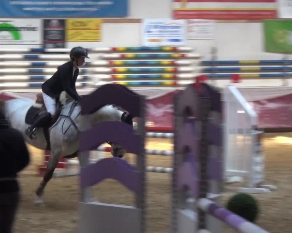 Springturnier Eicherloh - Laurent 2016