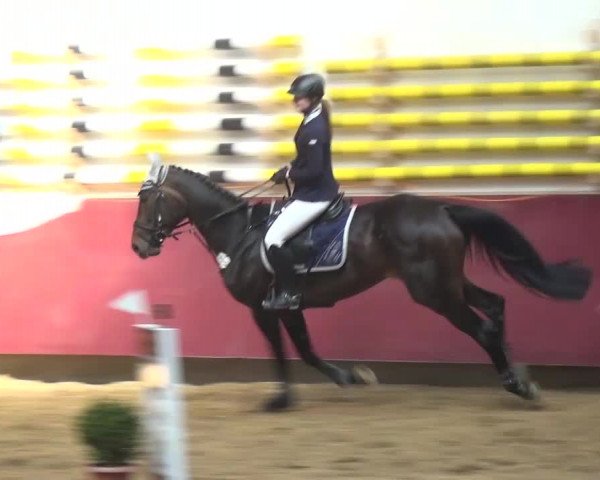 Springturnier Eicherloh - Laurent 2016
