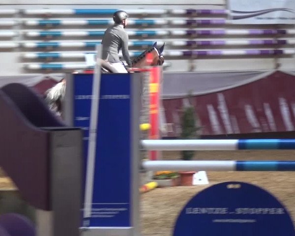 Springturnier Eicherloh - Laurent 2016