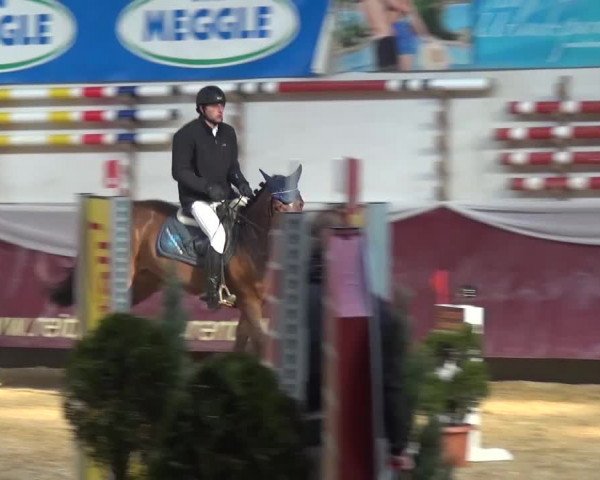 Springturnier Eicherloh - Laurent 2016