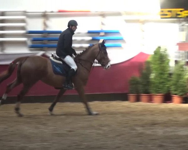 Springturnier Eicherloh - Laurent 2016