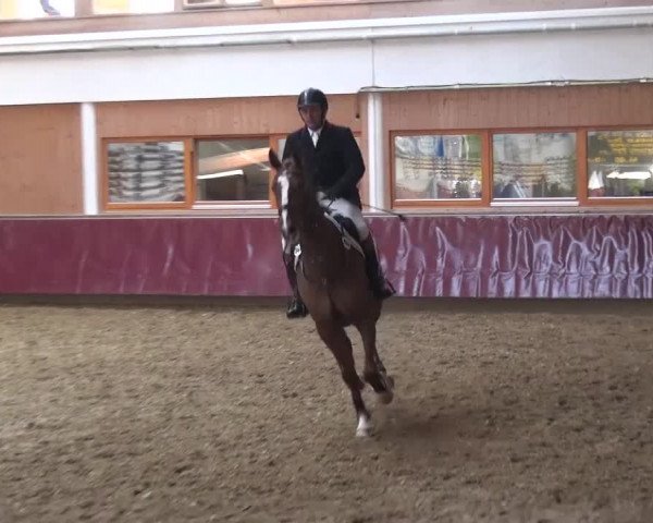 Springturnier Eicherloh - Laurent 2016