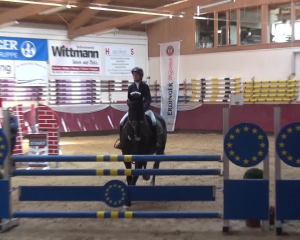 Springturnier Eicherloh - Laurent 2016