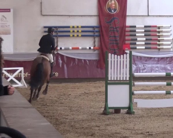 Springturnier Eicherloh - Laurent 2016