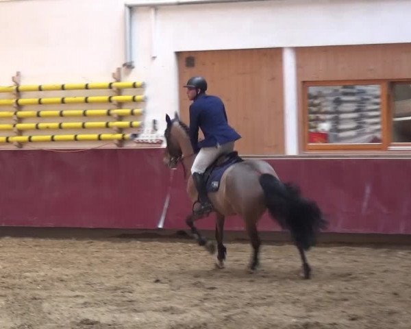 Springturnier Eicherloh - Laurent 2016