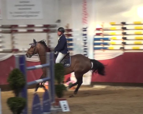 Springturnier Eicherloh - Laurent 2016