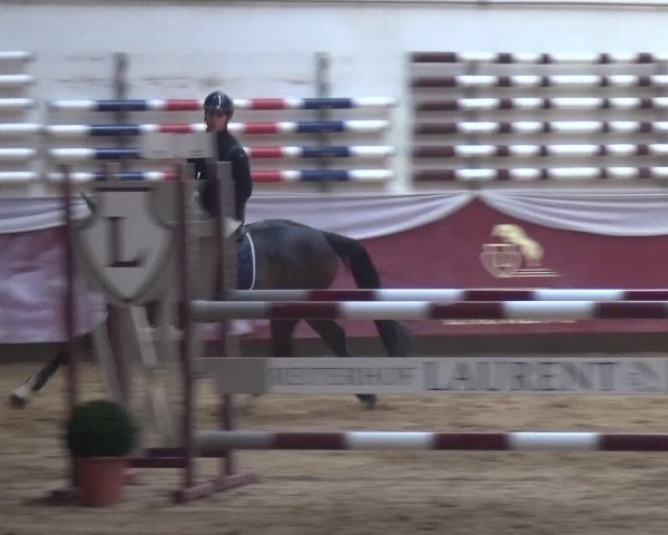 Springturnier Eicherloh - Laurent 2016