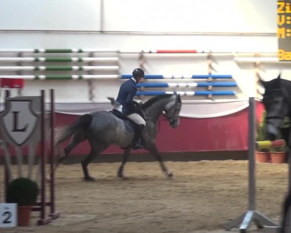 Springturnier Eicherloh - Laurent 2016