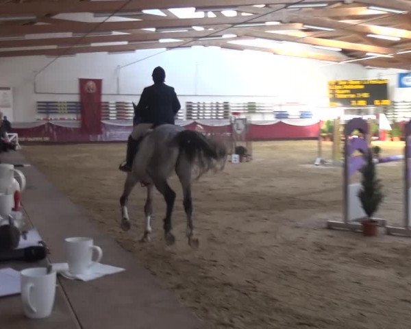 Springturnier Eicherloh - Laurent 2016
