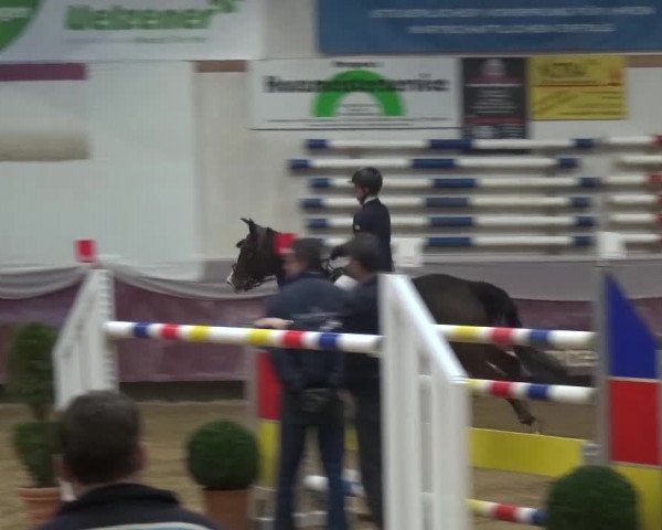 Springturnier Eicherloh - Laurent 2016