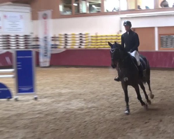 Springturnier Eicherloh - Laurent 2016