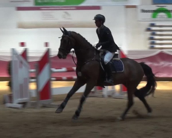 Springturnier Eicherloh - Laurent 2016