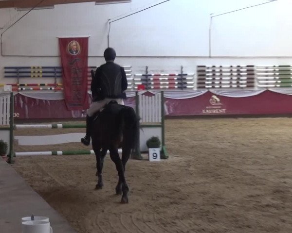 Springturnier Eicherloh - Laurent 2016