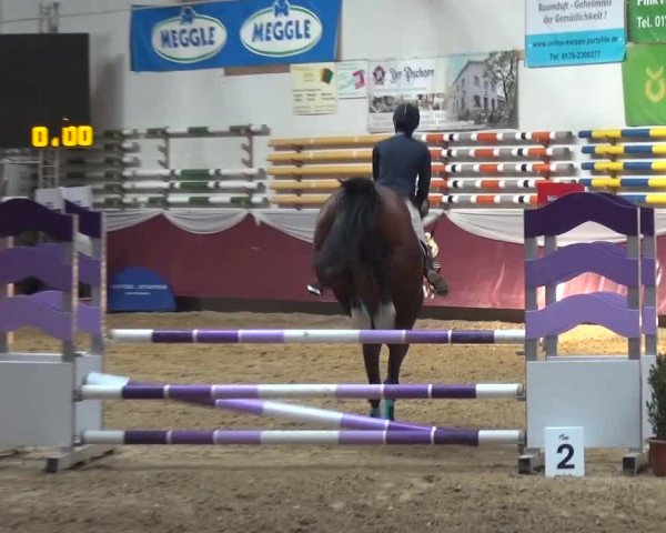 Springturnier Eicherloh - Laurent 2016