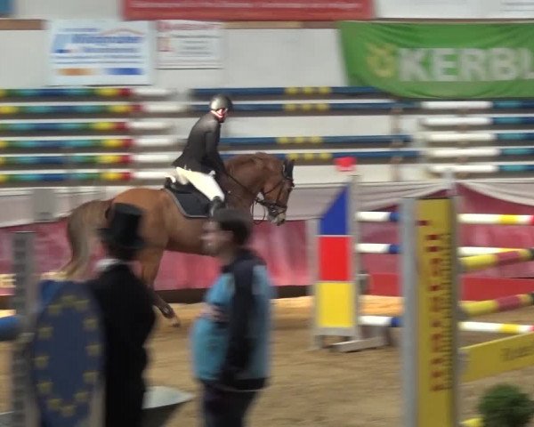 Springturnier Eicherloh - Laurent 2016