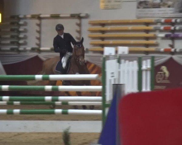 Springturnier Eicherloh - Laurent 2016