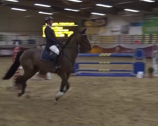 Springturnier Eicherloh - Laurent 2016