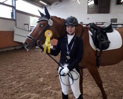 broodmare Donna Doria E (German Riding Pony, 2014, from Dimension AT NRW)