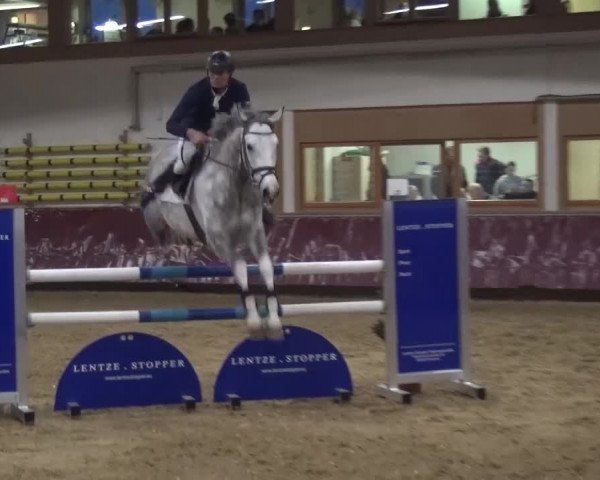 Springturnier Eicherloh - Laurent 2016