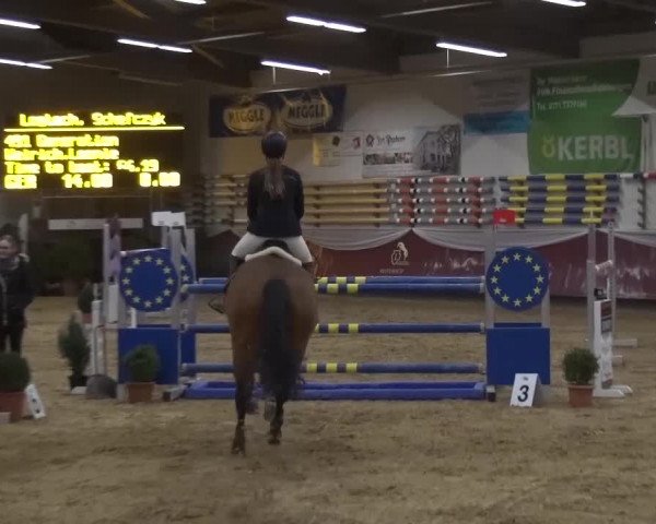 Springturnier Eicherloh - Laurent 2016