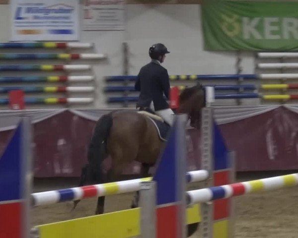 Springturnier Eicherloh - Laurent 2016