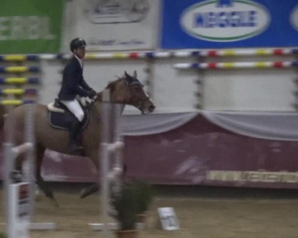 Springturnier Eicherloh - Laurent 2016