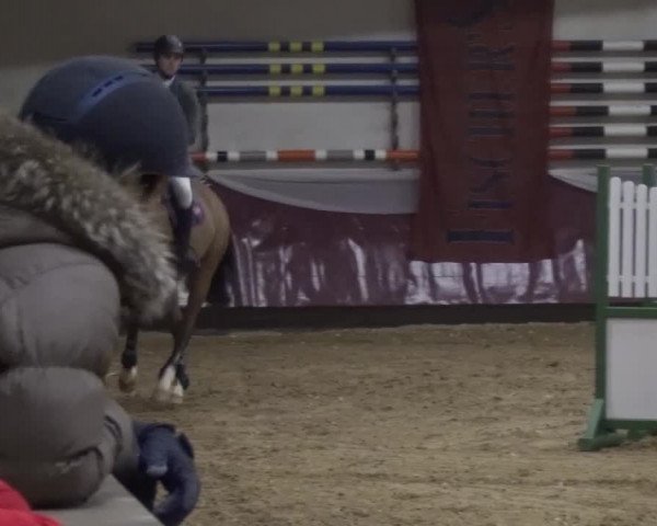 Springturnier Eicherloh - Laurent 2016