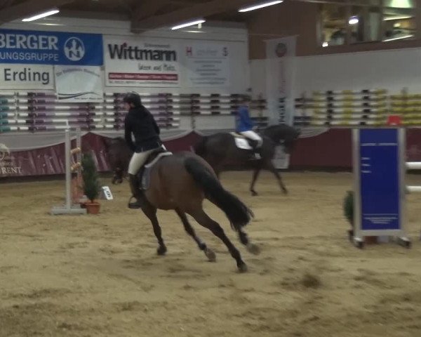 Springturnier Eicherloh - Laurent 2016