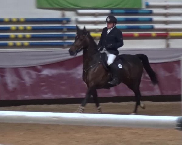 Springturnier Eicherloh - Laurent 2016