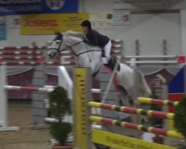 Springturnier Eicherloh - Laurent 2016