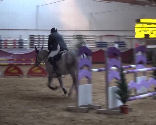 Springturnier Eicherloh - Laurent 2016