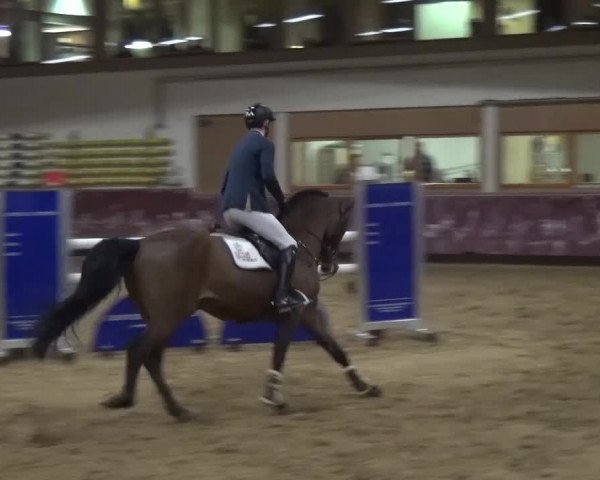 Springturnier Eicherloh - Laurent 2016