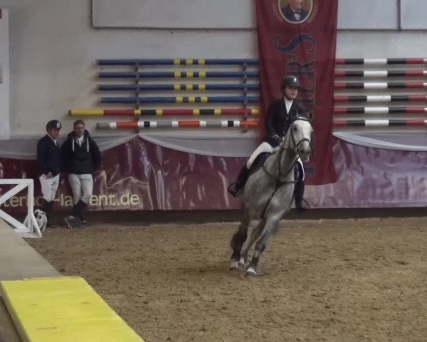 Springturnier Eicherloh - Laurent 2016