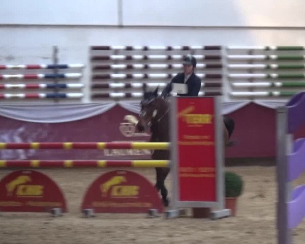 Springturnier Eicherloh - Laurent 2016