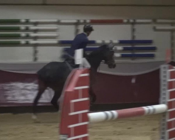 Springturnier Eicherloh - Laurent 2016