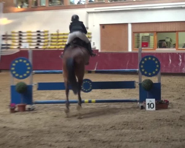 Springturnier Eicherloh - Laurent 2016